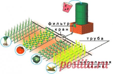 Готовимся к поливам — 6 соток