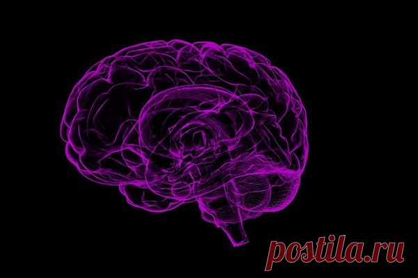 Ученые выяснили, какая способность мозга исчезает последней Мозг после смерти человека какое-то время способен еще регистрировать звуки, хотя тело уже перестало функционировать. Таким образом, слух является последним чувством, которое теряют умирающие люди. К такому выводу пришла международная команда исследователей, пишет Mirror.Ученые наблюдали...