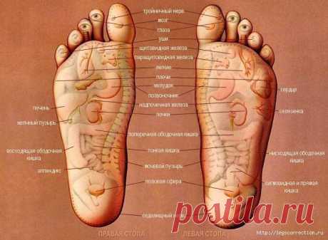 Наше здоровье - в наших руках!