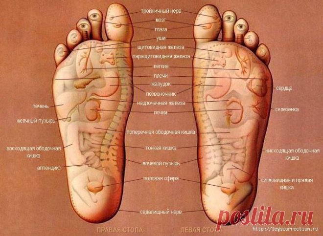 Наше здоровье - в наших руках!