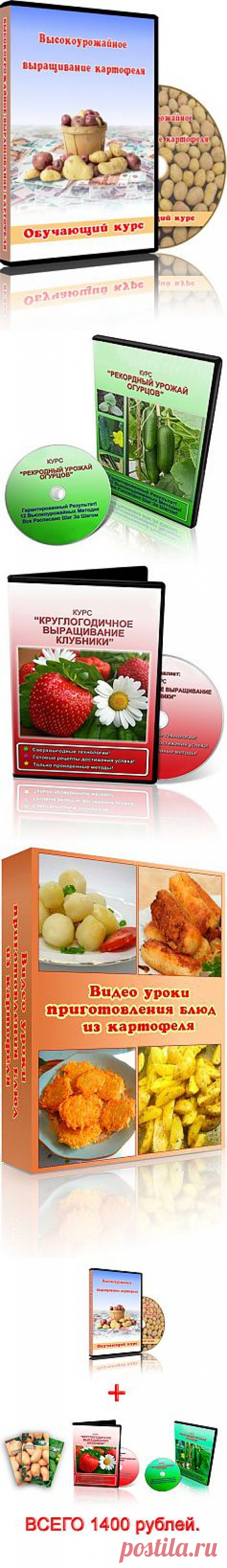 Выcокоурожайное выращивание картофеля