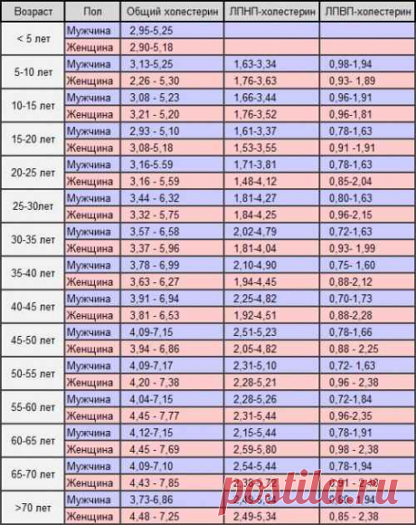 25 фактов, которые нужно знать о холестерине