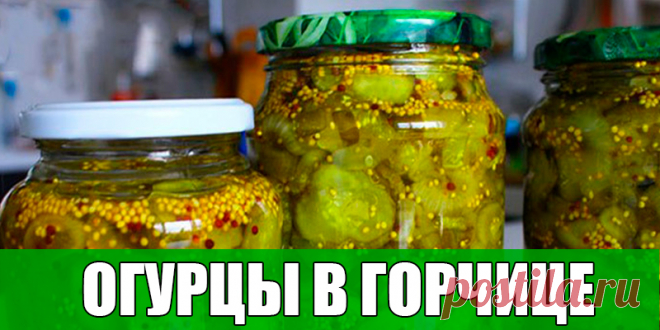 ОГУРЦЫ В ГОРЧИЦЕ | Полезные советы