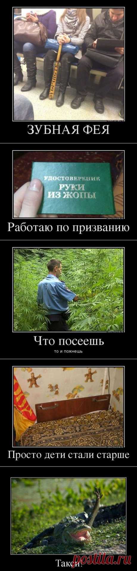 Прикольные демотиваторы (22 шт)