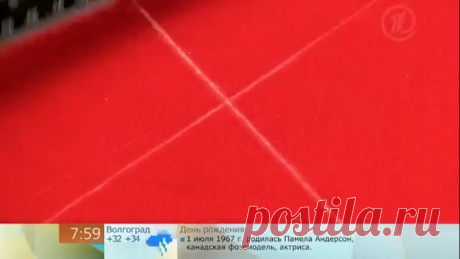 Блузка без единого шва