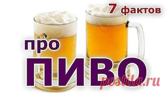 7 ФАКТОВ О ВРЕДЕ ПИВА 
1. Пиво вреднее, чем самогон и водка, так как в процессе брожения сохраняются ядовитые соединения (альдегиды, метанол, эфиры…), которых в 10-100 раз больше, чем в водке, полученной из спирта высшей очистки. 
2. Пивной алкоголизм - тяжелое психологическое заболевание. Для него очень характерна, так называемая, анозогнозия, то есть полное отрицание заболевания. Для употребления пива не нужен накрытый стол или хотя бы даже формальный повод для выпивки: ...