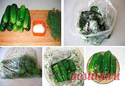 Малосольные огурчики без рассола.
=================================== 
Чтобы не потерять рецепт, жмите класс, а потом поделиться
==================================
Огурчики получаются вкусные и хрустящие, а главное быстро!

Ингредиенты:
1 кг огурцов (маленьких)
1 столовая ложка соли без горки
3-4 зубчика чеснока (по желанию)
укроп
2 полиэтиленовых пакета

Приготовление:
1.Огурчики помыть, срезать кончики. Укроп мелко покрошить. Чеснок мелко порубить
2.В полиэтиленовый паке...