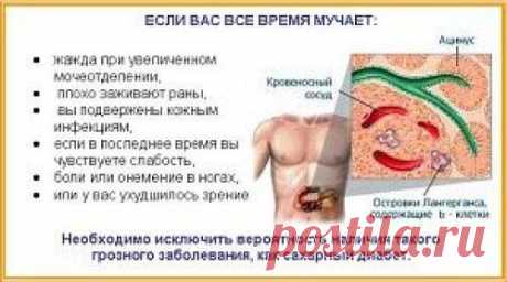 Боремся с сахарным диабетом: 
1. три белых фасолины мы замачиваем на ночь в 0. 5 стакане холодной кипяченой воды. | Диета для похудения