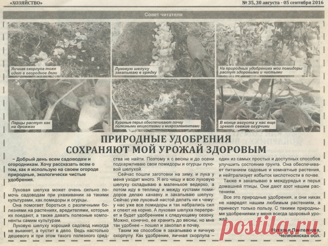 Природные удобрения сохраняют урожай здоровым