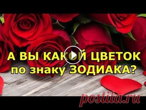 А ВЫ КАКОЙ ЦВЕТОК ПО ЗНАКУ ЗОДИАКА? Цветы, травы, растения и деревья находятся под управлением знаков Зодиака. Для представителей каждого знака есть цветы и растения, которые приносят уд...