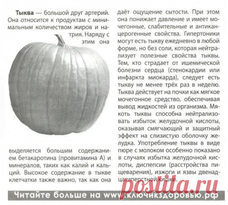 Тыква лечит