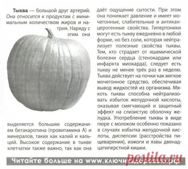 Тыква лечит