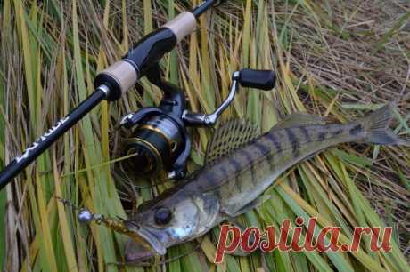 Лучшие спиннинги для джига: ТОП-10 рейтинг [god] Как выбрать лучший спиннинг для джига по оптимальному соотношению цена-качество и отзывов. ТОП-10 рейтинг популярных и хороших джиговых спиннингов [god]