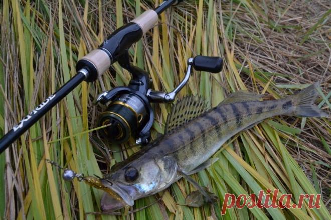 Лучшие спиннинги для джига: ТОП-10 рейтинг [god] Как выбрать лучший спиннинг для джига по оптимальному соотношению цена-качество и отзывов. ТОП-10 рейтинг популярных и хороших джиговых спиннингов [god]