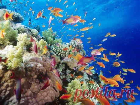 Водосточные трубы