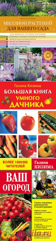 Книги Кизима Галина Александровна - , читать онлайн