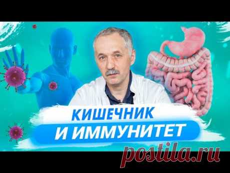 Как иммунитет связан с кишечником? Перспективы лечения аллергий, инсультов и рака / Доктор Виктор