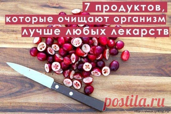 (24) Одноклассники