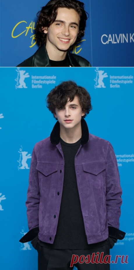 Тимоти Шаламе: биография, интересные факты
В статье - о жизни молодого американского актера, стремительно набирающего популярность. И он этого заслуживает!В свои 22 года Тимоти является самым молодым номинантом на премию «Оскар» 2018 за лучшую мужскую роль в фильме режиссера Луки Гуаданьино «Зови меня своим именем». Блестящая работа в дуэте с Арми Хаммером, не игра, а жизнь! Если вы еще не смотрели эту пронзительную драму, обязательно посмотрите. Возможно, этот фильм изменит ваш взгляд на