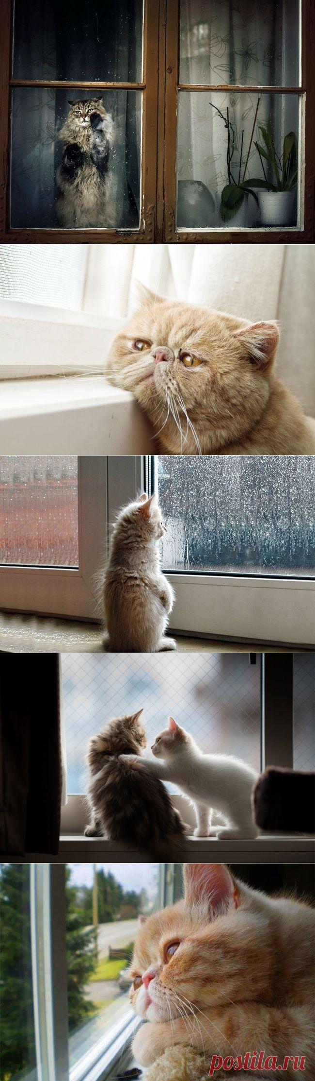 Возвращайся уже, я соскучился..)