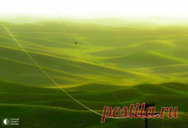 Регион Палуз  Фотографы со всего мира стремятся оказаться в США, в местечке под названием Палуз (англ. Palouse). Эти сельскохозяйственные поля считаются настоящим природным произведением искусства. Конечно, они возникли не без участия человека.Тут можно увидеть шикарные луга, которые внешне очень...