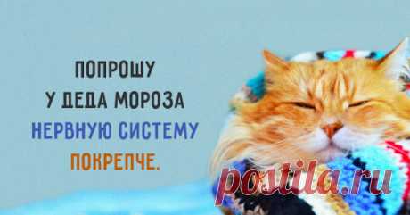 Google+