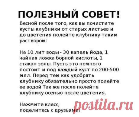 Клара Земцова