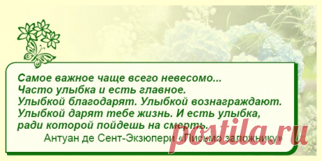 Мысли вслух