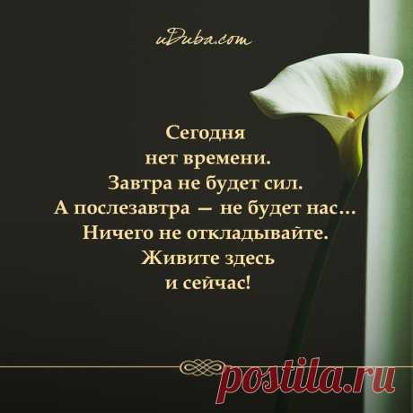 Очень вкусные заварные блины на молоке!)