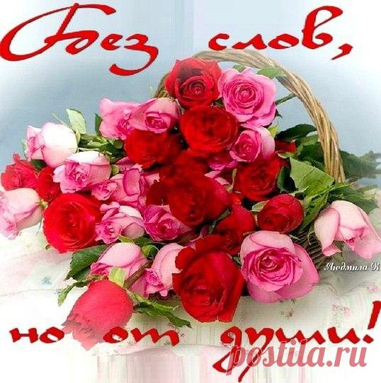 Открытки и поздравления!  

Новая открытка для Вас

смотреть здесь ==> http://vk.com/app2815682