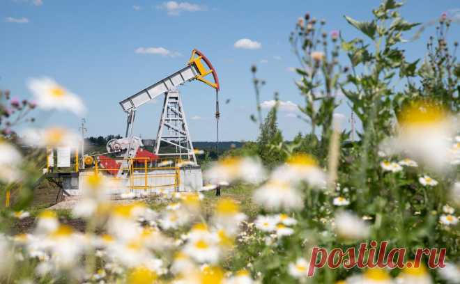 Bloomberg узнал о предложении российской нефти китайским НПЗ. Китайским НПЗ активно предлагаются фьючерсы Urals на октябрь со скидкой $1,5 за баррель по сравнению с Brent, пишет Bloomberg. Однако аналитики сомневаются, что у китайских компаний будет устойчивый интерес к российской марке