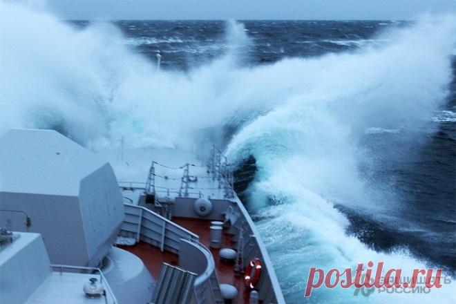 Юрий Шевченко - Подольск, Московская обл., Россия, 62 года на Мой Мир@Mail.ru