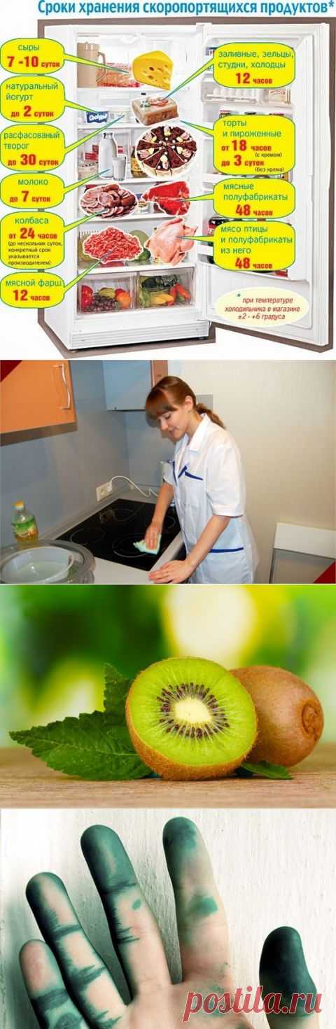 Обзор "Советы искусной хозяйке", 17 мая | ЖЕНСКИЙ МИР