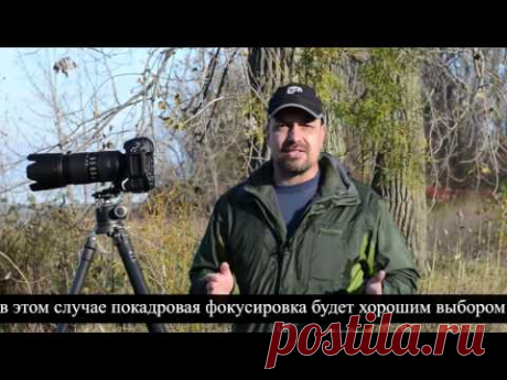 Фокусировка задней кнопкой - советы профессионалов