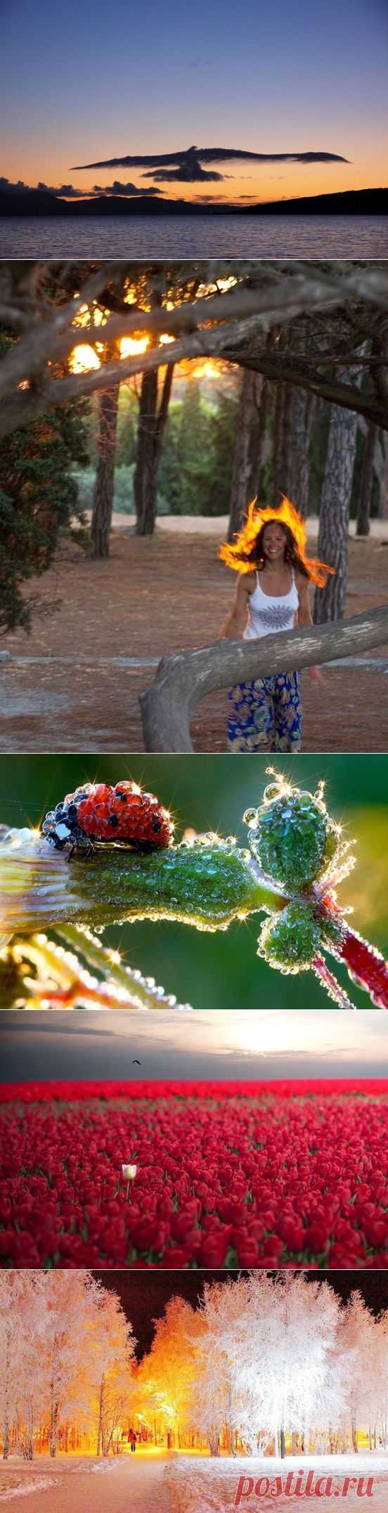 10 снимков невероятной природной красоты