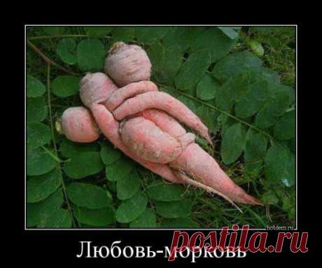 Демотиваторы для всех | Позитив в картинках и не только