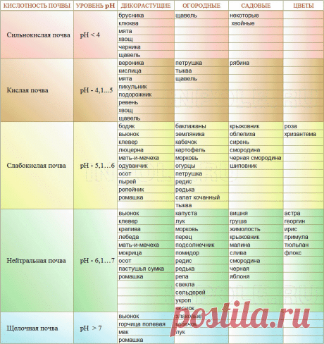 tabl_ph1.gif (901×956)