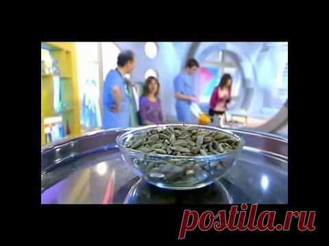 Специя кардамон | sadok33.ru