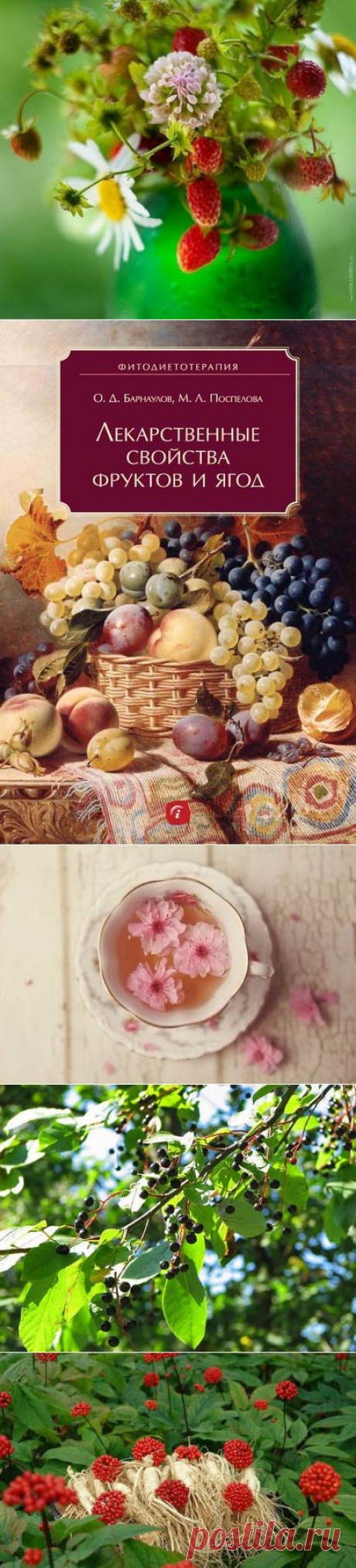 Полная энциклопедия народной мед-ны.Фитотерапия.