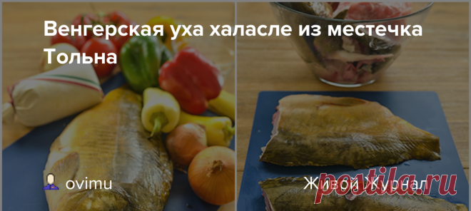 Венгерская уха халасле из местечка Тольна У этого пользующегося большой популярностью в Венгрии рыбного супа , так же , как и гуляша имеется много вариантов . А познакомлю вас с вариантом Халасле из местечка Толны. Вы же знаете , что главным и необходимым условием хорошего рыбного супа это бульон. Халасле в основном варят из карпа. Я вам…