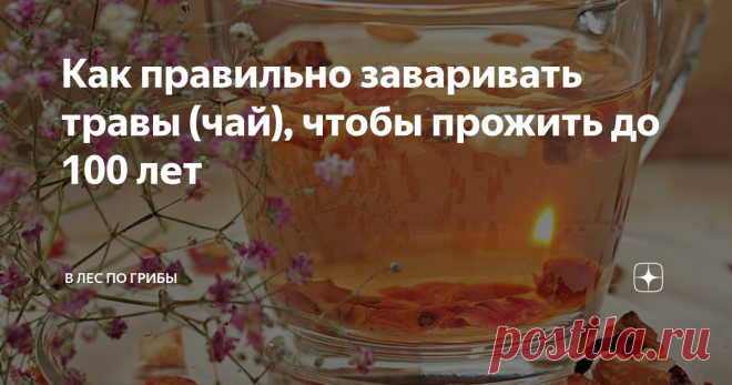 Как правильно заваривать травы (чай), чтобы прожить до 100 лет Если вам прописаны какие-либо травы или травяные настои, либо вы просто хотите пройти лечебный курс, то вам необходимо знать - 