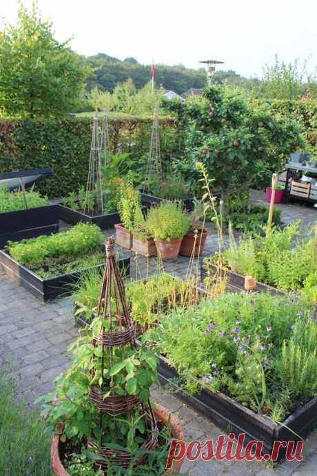 ВОТ ЭТО ОГОРОДЫ | Самоцветик