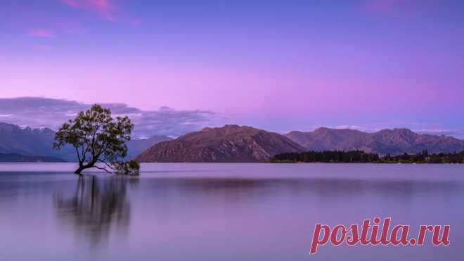 AQAEN8zqf86oQ1EaqqcX6AbCcIT_z_q58GYTxzF9HTnEYy1xYw-CiRCWWHF989fbfyTlV2Tj6oI5fD5ma_cbHu6rPAs.webp (780×439)