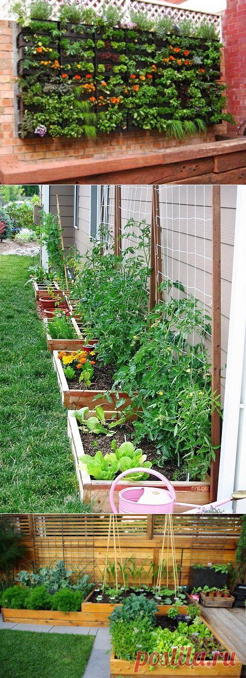 ДАЧНЫЕ ИДЕИ | Самоцветик