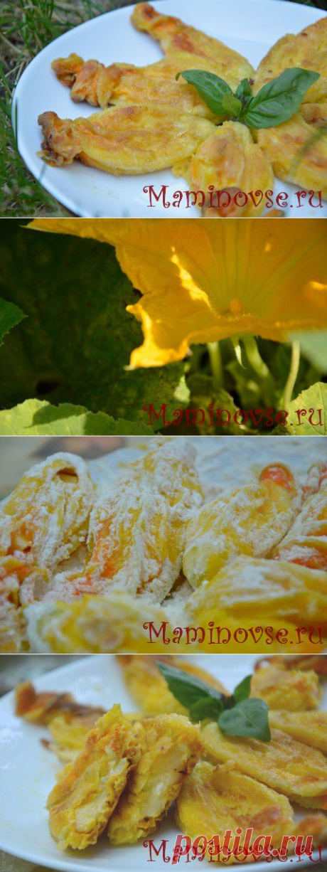 Что приготовить из цветков тыквы? Как фаршировать цветки кабачка и тыквы? Фоторецепт фаршированных цветков тыквенных | Мир глазами мамы