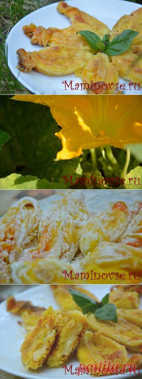 Что приготовить из цветков тыквы? Как фаршировать цветки кабачка и тыквы? Фоторецепт фаршированных цветков тыквенных | Мир глазами мамы