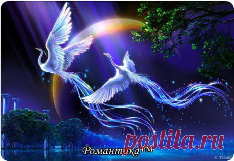 getImage (492×338)
