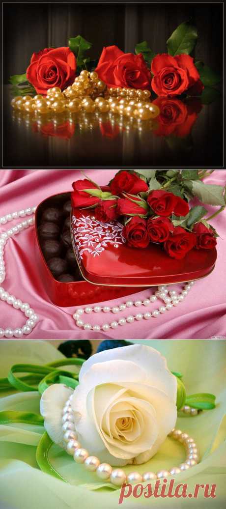 Шикарные натюрморты. Розы и жемчуг. .