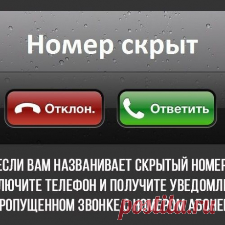 8 интересных фактов (8 фото)