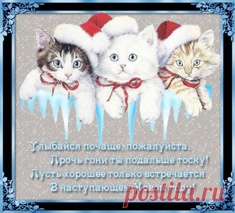 НОВОГОДНИЙ - 50 фото. Фотографии zoja simonova.